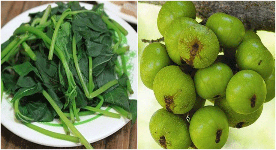 11 thực phẩm CỰC LỢI SỮA hơn cả CHÂN GIÒ HẦM, mẹ ăn vào CON BÚ NO NÊ mà mình không lo BÉO 11 thực phẩm CỰC LỢI SỮA hơn cả CHÂN GIÒ HẦM, mẹ ăn vào CON BÚ NO NÊ mà mình không lo BÉO