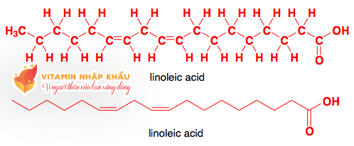 AXIT LINOLEIC - CÔNG DỤNG TUYỆT VỜI TRONG CHĂM SÓC SỨC KHỎE AXIT LINOLEIC - CÔNG DỤNG TUYỆT VỜI TRONG CHĂM SÓC SỨC KHỎE