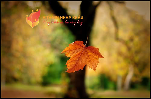 Hãy bế em ra khỏi cuộc đời anh!!!! Hãy bế em ra khỏi cuộc đời anh!!!!