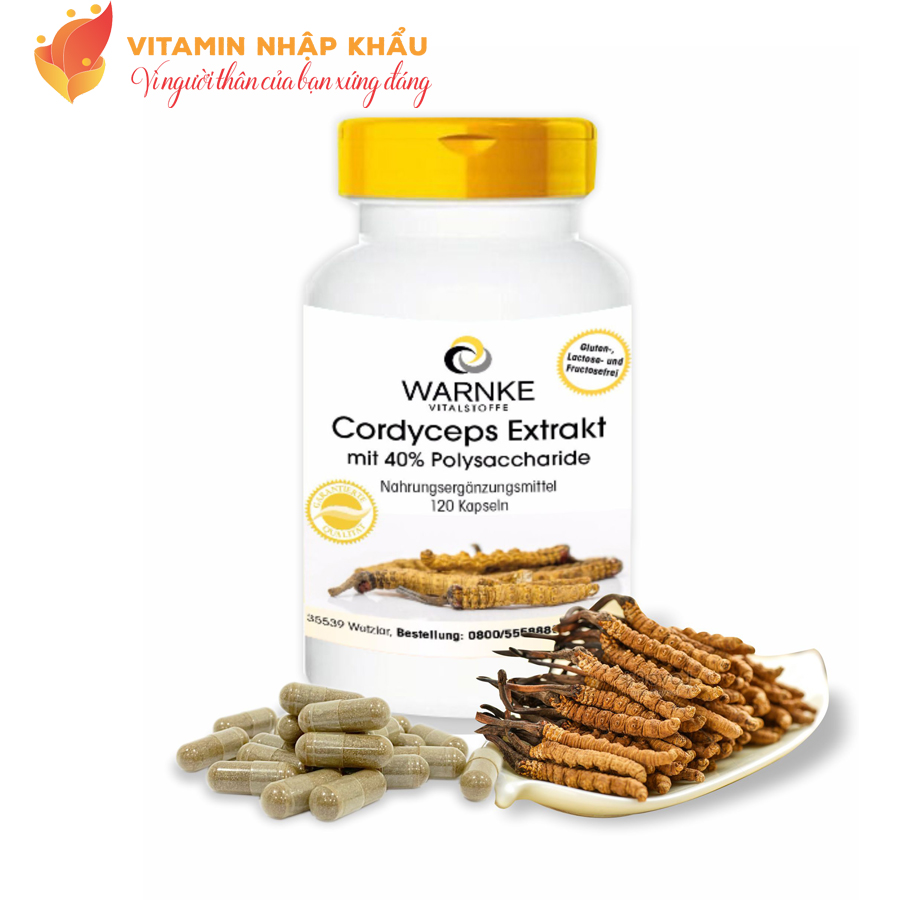 Viên uống Đông Trùng Hạ Thảo Warnke Cordyceps Extrakt 500mg