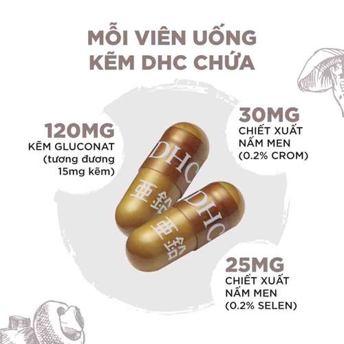 Thành phần viên uống bổ sung kẽm DHC Zinc